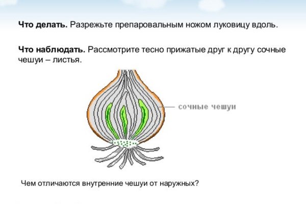 Кракен сайт дарк нет